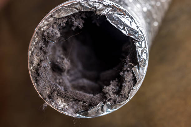 Best Home Air Vent Cleaning  in Groesbeck, OH